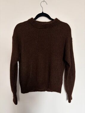 Everlane Rich Brown Alpaca Wool Blend Sweater 2XS